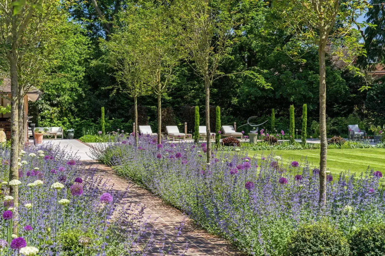 Long borders, ornamental grasses and evergreen structure connect the outdoor living spaces. Detail and atmosphere, considered together.