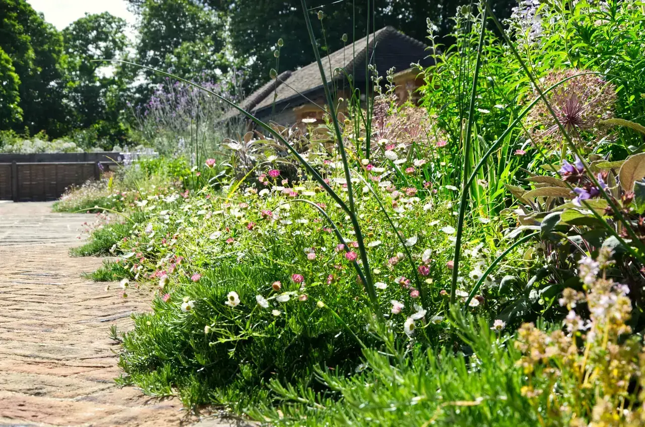 Planting softens the routes between terraces, lawns and the house. A garden of distinct spaces, designed to be enjoyed throughout the day.
